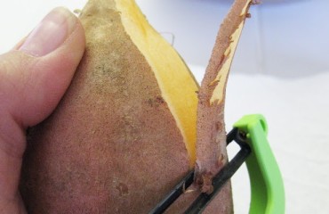 Potato Peel Health Study