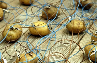 Potato Battery Could Be the Future