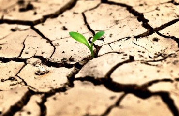 Enough for Us All: Food Security