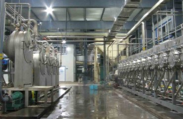 Understanding Starch Production