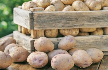 Potato Prices Soar in Australia Due to Extreme Weather