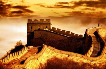 Next World Potato Congress to Be Hosted by China