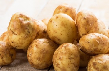 Russia Bans Ukrainian Potatoes