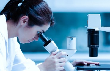 University of Lethbridge Gets USD 1 Million for Research