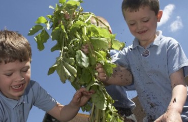 Industry Support for Potato Council’s Campaign Gathers Momentum