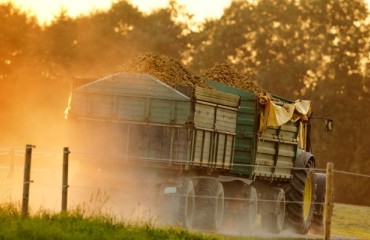 Supporting the Scottish Potato Industry