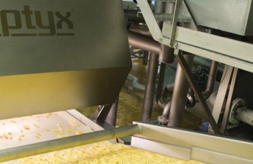 The strategy of digital sorting