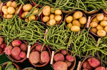 Equipping a new potato storage facility