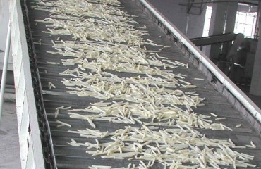 French fries: All cut, dried and fried