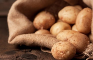 New apprenticeship scheme at potato supplier Greenvale Floods Ferry