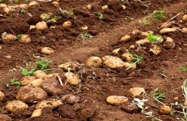 Seed Industry Event conference tackles key industry concerns