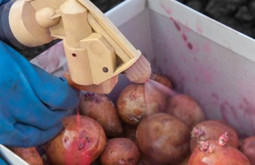 Three agrochemical companies joint to support farmers applying nematicides