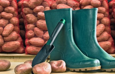 Preventing the Spread of Pathogens in a Storage