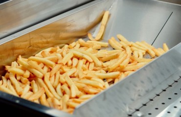 Heat and Control completes a new continuous fryer system for formed potato chips