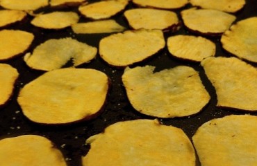 Diamond Foods acquired Yellow Chips