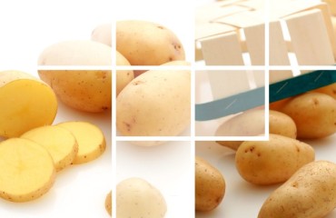 Maine Potato Board launches a new potato variety called the Caribou Russet
