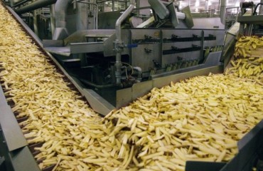 McCain Foods USA awarded for energy efficiency