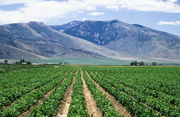 The nominations are open for the new United States Potato Board