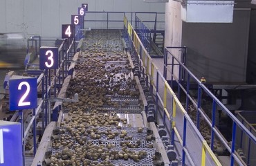 Next generation potato grading line from Tong