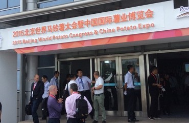 China makes global commitment to the potato
