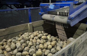 Tong launches advanced data capture potato technology at BP2015
