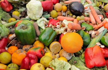 A solution to reduce Europe's food waste issue