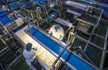 Tong Broadens Processing Portfolio through Partnership with Marcelissen