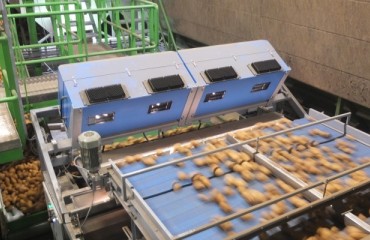 Case Study: The Experience of Potato Producer Nedato with a Sorting Solution from TOMRA