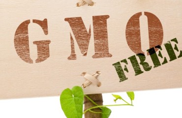 Congress Passes GMO Food Labeling Bill