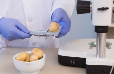 Monsanto and TargetGene to Develop Genome Editing Engine Platform