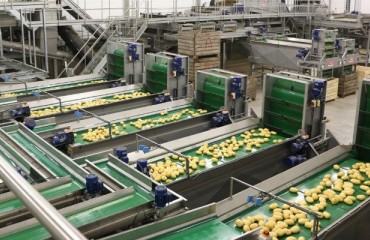Diagnostic Module to Reduce Downtime for Processors