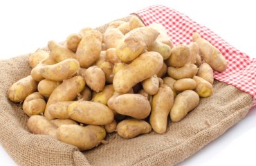 Tummers Develops Washing Line for Fragile Potatoes