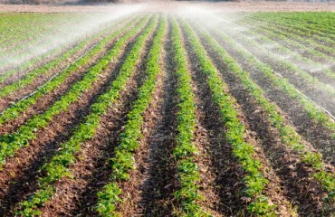 Greenpeace Issues Blacklist for Pesticides in EU