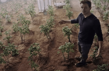 Scientists to Test Potatoes Grown in Mars and Moon Soils