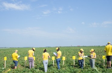 Farm Visit: How to Produce Potatoes for PepsiCo Factory in Romania