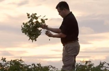 Tesco Brings Together Potato Suppliers to Reduce Food Waste