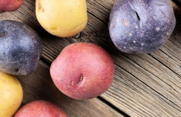Potandon Produce Adds a New Organic Potato Supply Point