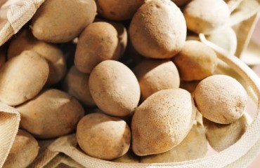 Farm Frites Could Build French Fries Plant in Kazakhstan
