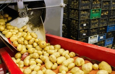 Morrisons and Farmcare Announce the Acquisition of Carnoustie Plant