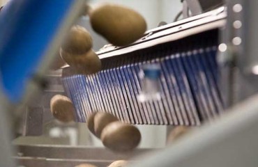 Expert View: Sustainability - Effect of Population Growth on Food Production Efficiency