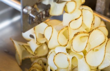 Potato Slicing and Peeling Equipment Market to Rise by 2021