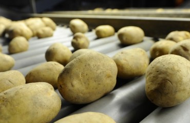 Rethinking Control System Technology in Food Processing
