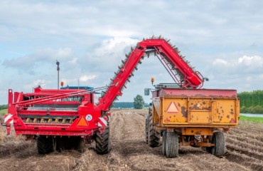 Asia-Pacific Drives Global Increase for Potato Harvesters Market