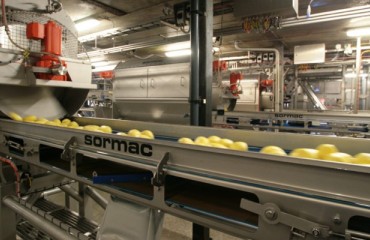 Sormac Makes Improvements in Knife Peeler MS-20