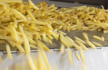 Lamb Weston/Mejier Buys Oerlemans' Potato Division