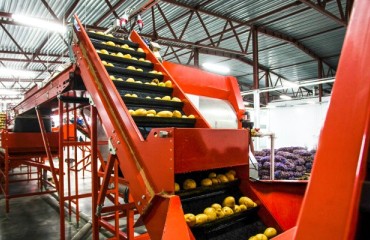 J & S Visser Potato Facility Installs New Equipment