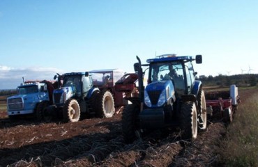Canadian Potato Processor Receives Government Loan to Expand Business