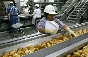 McCain USA Invests over USD200m in Processing Plant Expansion
