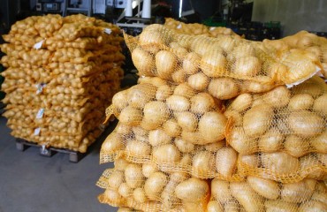 Potato Packer in Canada Gets USD1m Loan from the Government