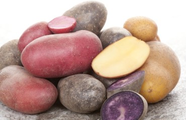 US Imported More Potatoes than in 2016